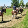 scuola-equitazione3